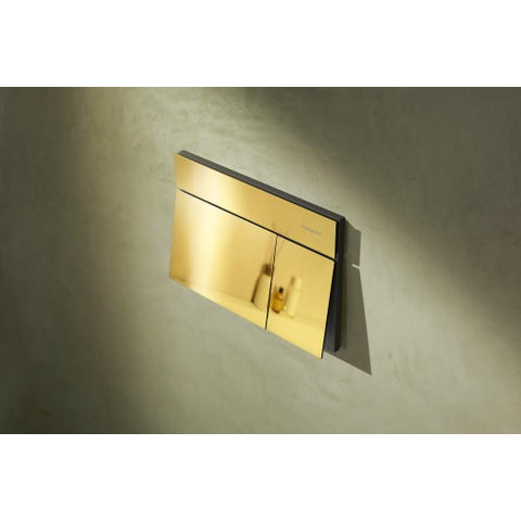 Hansgrohe IFrame Element E Bedieningsplaat spoelsysteem SW1413592