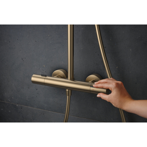 Hansgrohe Pulsify S Puro Puro1jet - showerpipe - ecosmart - 260 - thermostatisch - 3jet - handdouche en doucheslang - 160cm - thermostaat - geborsteld brons SW1151842