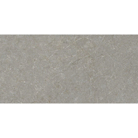 ÉCHANTILLON Terravito Elvano Carrelage parquet céramique mural et de sol - 60x120cm - 9mm - Greige SW1579538
