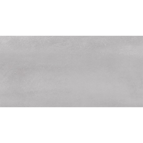 SAMPLE Ceralto Ferron Metal 305X605 Sync Taupe SW1123114