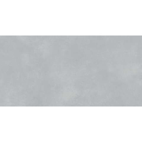 ÉCHANTILLON Ceralto Elmira Alto 298X598 Extra WADVK823 Gris clair SW1123096