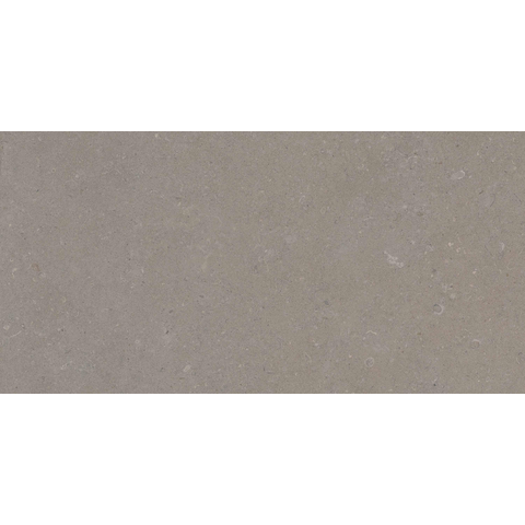 ÉCHANTILLON Terravito Selvico Carrelage mural en céramique - 30x60cm - 8.5mm - Greige SW1579577