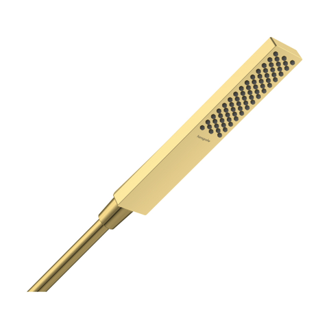 Hansgrohe Pulsify E handdouche - 10cm - polished gold optic (goud) SW1387653