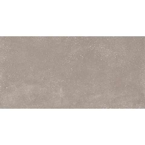 Ceralto Ivarno Core Vloertegel - 60X120 - 6.5mm - mat - zilver SW1578854