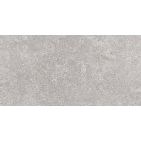 SAMPLE Terravito Larino wand- en vloertegel - 160x80cm - 9mm - gerectificeerd - Licht Grijs SW1221580