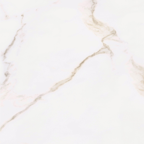 ÉCHANTILLON Terravito Tovaro carreau mural et de sol - 60x60cm - rectifié - Aspect marbre - Gold poli (blanc) SW1221470