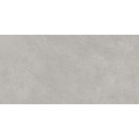 ÉCHANTILLON Terravito Evarno carreau mural - 25x50cm - Plomb mat (gris) SW1131094