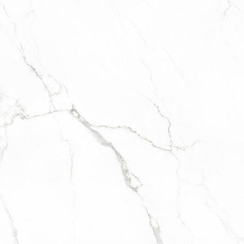 ÉCHANTILLON Terravito Alpuro carreau mural et de sol - 60x60cm - 9mm - Carré - rectifié - Aspect marbre - Blanc/noir brillant SW736255