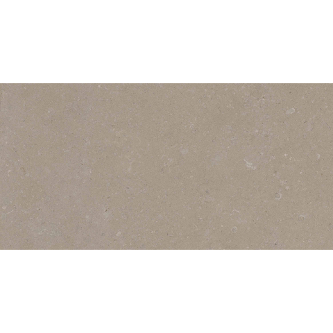ÉCHANTILLON Terravito Selvico Carreau mural en céramique - 30x60cm - 8.5mm - Sand SW1579588