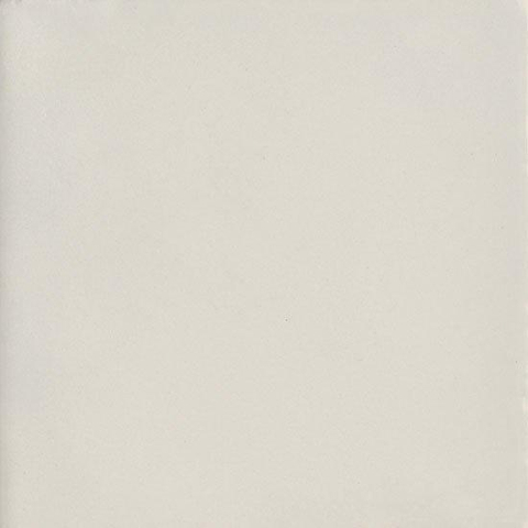 Ceralto Ricordo Marmo Vloertegel - 15x15cm - 10mm - mat - BIANCO SW1591602