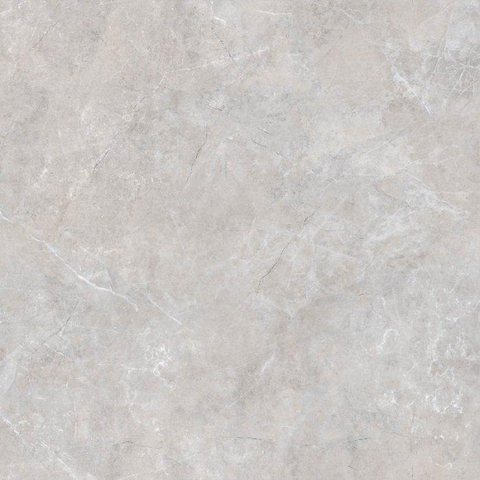 ÉCHANTILLON Terravito Quarno carreau mural et de sol - 60x60cm - 9mm - Carré - Aspect marbre - Gris brillant SW736243