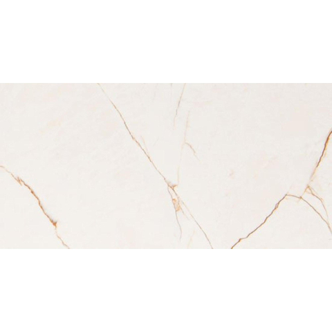 Vtwonen Tegels Classic Vloertegel - 30x60cm - 10.0mm - gerectificeerd - Caramel SW670073