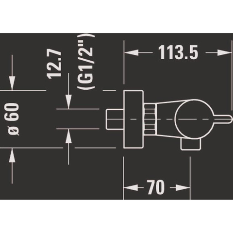 Duravit B.2 Thermostatische douchemengkraan - opbouw - 260x1135x40mm - hoogglans chroom SW500276