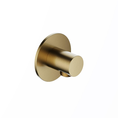 Hotbath Ace Wanduitlaat - rond - PVD - geborsteld messing (goud) SW1119248