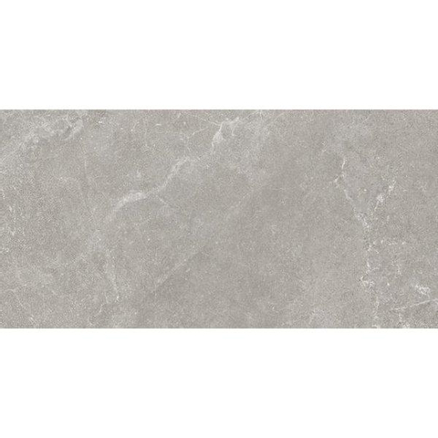 ÉCHANTILLON Ceralto Sylvaro Tone Carrelage mural 30x60cm Capitol Grey 7mm Rectifié Brillant Gris SW913239