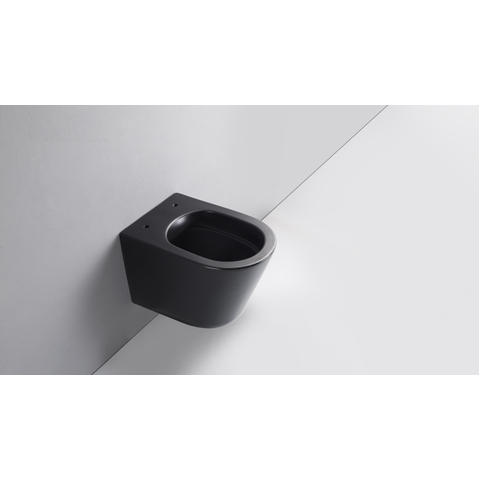 QeramiQ Dely hangtoilet – spoelrandloos – diepte 51,7 cm – met 35 mm softclose zitting – mat zwart SW1225249
