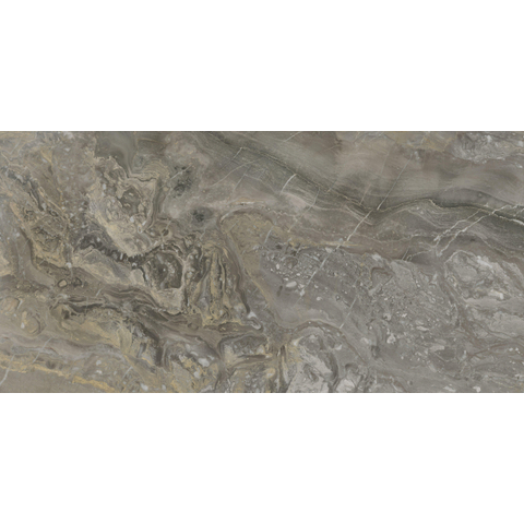 ÉCHANTILLON Terravito Ivello carreau mural et de sol - 60x120cm - rectifié - aspect pierre naturelle - Nature poli (gris) SW1221327