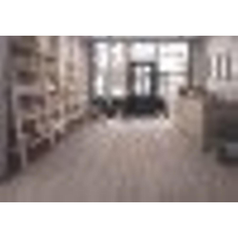Terravito Fissaro carreau mural et de sol - 22.2x89.5cm - 8mm - rectifié - antidérapant - effet bois - gris SW863174