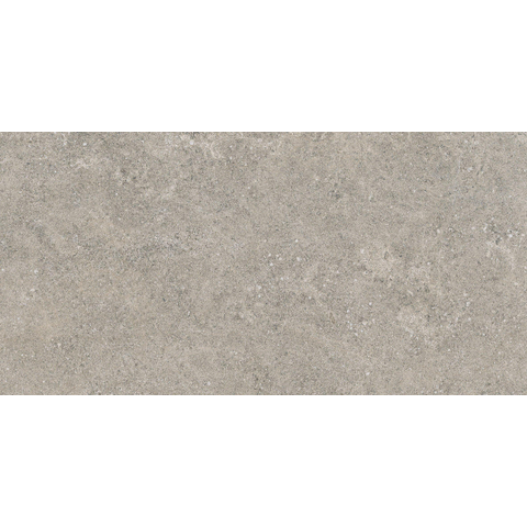 ÉCHANTILLON Terravito Tenuta Carrelage de sol et de mur - 30x60cm - 8mm - rectifié - (Gris) SW1221666