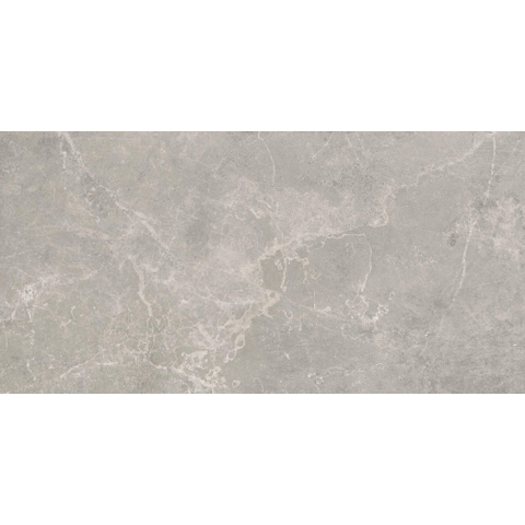 SAMPLE Terravito Unicoa wand- en vloertegel - 120x60cm - 9mm - gerectificeerd - Grijs SW1221646