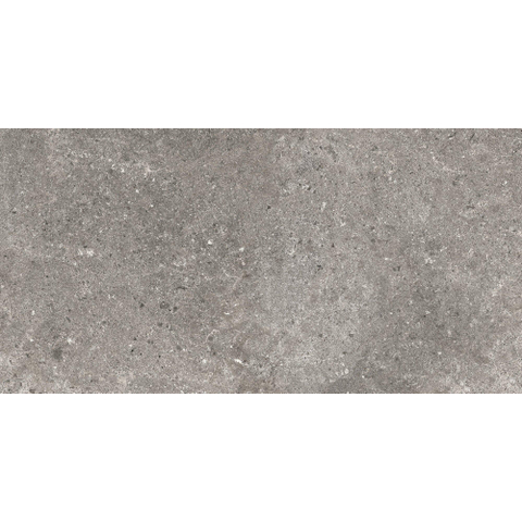 SAMPLE Terravito Larino wand- en vloertegel - 120x60cm - 9mm - gerectificeerd - Grijs SW1221586