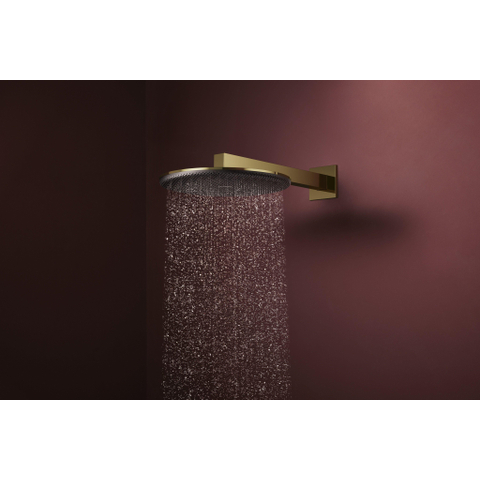 Hansgrohe Raindance alive S - hoofddouche 300 - 1jet - ecosmart - gepolijst goud (goud) SW1388861