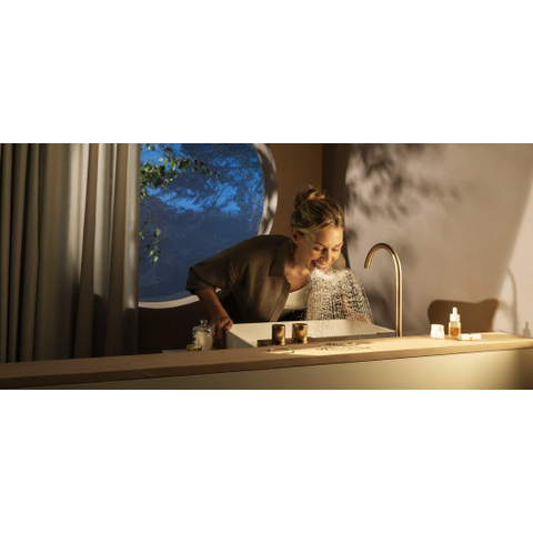 HansgroheHG AquaUnit 58cm BrushedBronze SW1387706