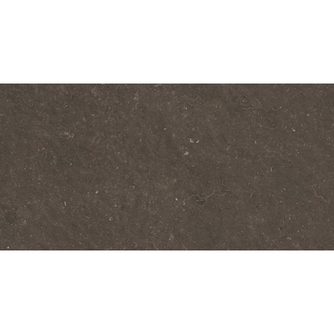 Ceralto Karsio Rock Carreau de sol - 60x120cm - 9.0mm - rectifié - Noble brionne SW1529503