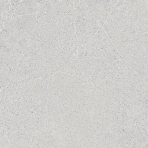 ÉCHANTILLON Terravito Allora carreau mural et de sol - 60x60cm - rectifié - effet béton - Pearl mat (gris) SW1130743