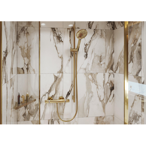 Hansgrohe Ecostat Comfort Douchekraan - thermostatisch - met koppelingen - thermostaat - glans goud SW358656