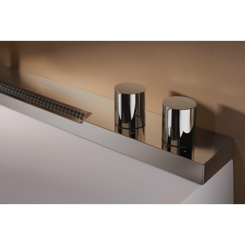 Hansgrohe Avalegra Wastafel / Fontein SW1387807