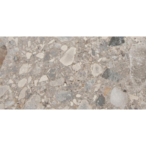 SAMPLE vtwonen Composite Vloer- en wandtegel - 30x60cm - 9mm - gerectificeerd - R10 - Multicolor SW914913