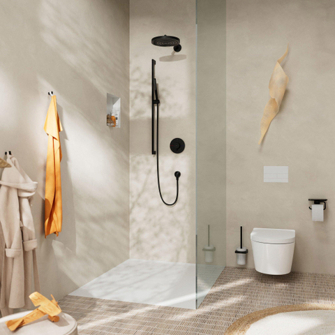 Hansgrohe Douchearm S - 39 cm - mat zwart SW917964