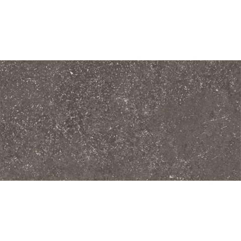 Ceralto Olivaro Sete Carreau de sol - 30X60 - 10mm - mat - gris foncé SW1578845