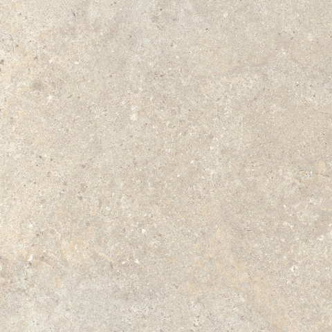 ÉCHANTILLON Terravito Larino Ivory mat 80x80 rett SW1221596