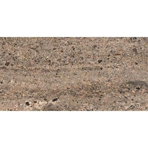 Ceralto Alabro Vein Vloertegel - 60x120cm - 9.0mm - gerectificeerd - Terra SW1529478