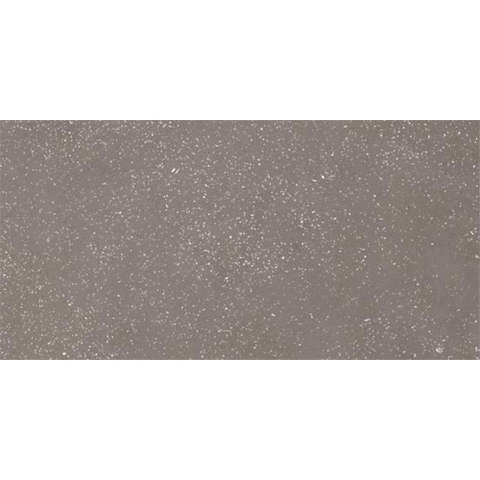 Ceralto Ivarno Core Carrelage de sol - 30X60 - 10mm - mat - gris SW1578941