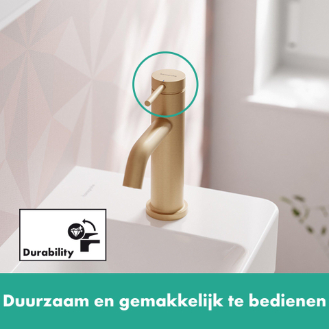 Hansgrohe Tecturis s Fonteinkraan - 80 met rechte greep - voor koud water of vooraf ingestelde watertemperatuur - zonder waste - geborsteld brons SW918543