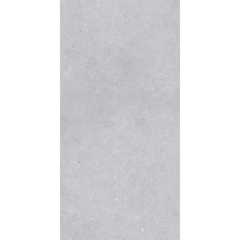 ÉCHANTILLON Terravito Cosano Carrelage de sol et de mur - 60x120cm - rectifié - gris mat SW1131030