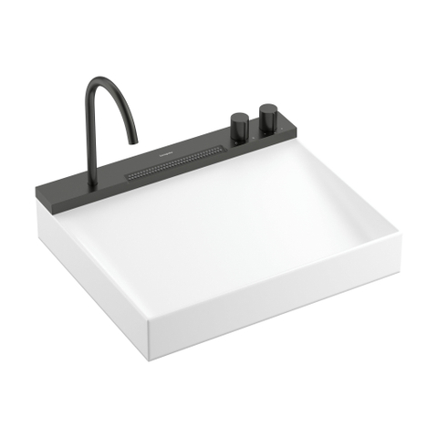 Hansgrohe Avalegra Wastafel / Fontein SW1387767