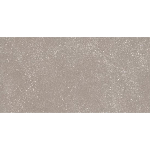 Ceralto Ivarno Core Vloertegel - 60X120 - 6.5mm - mat - zilver SW1578854