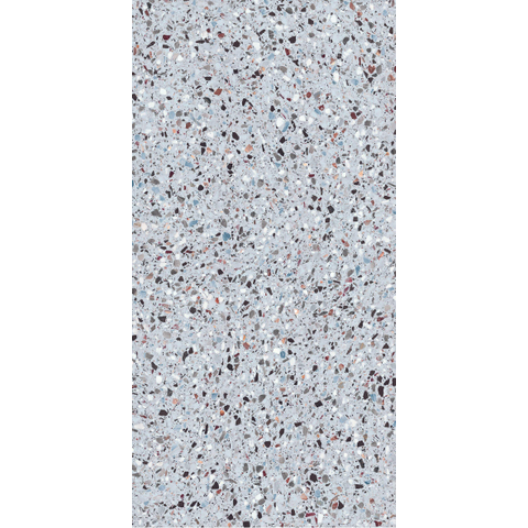 ÉCHANTILLON Terravito Damico Carrelage sol et mur - 60x120cm - rectifié - gris mat SW1130900
