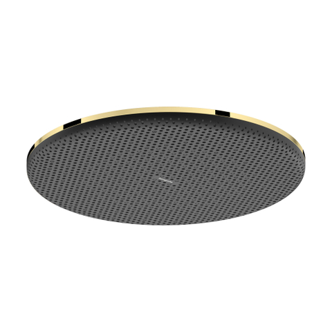 Hansgrohe Raindance alive S - hoofddouche 300 - 1jet - gepolijst goud (goud) SW1388197