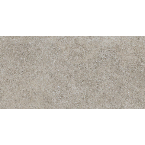 SAMPLE Terravito Tenuta Vloer- en wandtegel - 30x60cm - 8mm - gerectificeerd - (Grijs) SW1221666