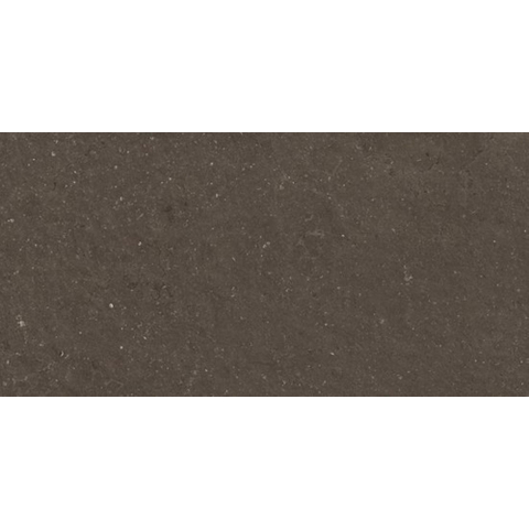 Ceralto Karsio Rock Carreau de sol - 60x120cm - 9.0mm - rectifié - Noble brionne SW1529503