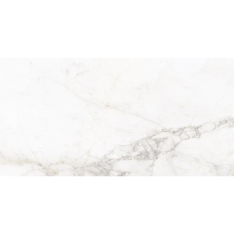 ÉCHANTILLON Ceralto Valerio Oak 250X500 Firenze Blanc Brillant SW1122886