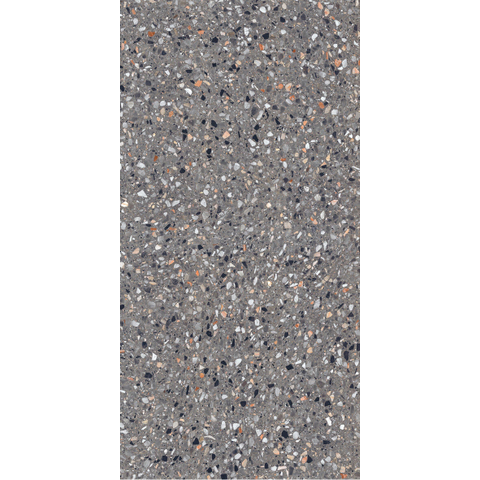 ÉCHANTILLON Terravito Damico Carreau de sol et de mur - 60x120cm - rectifié - mat Anthracite SW1130954