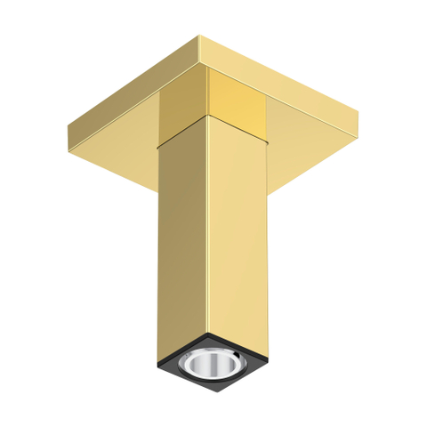 Hansgrohe Raindance alive Plafondaansluiting E - 100mm - gepolijst goud (goud) SW1387851