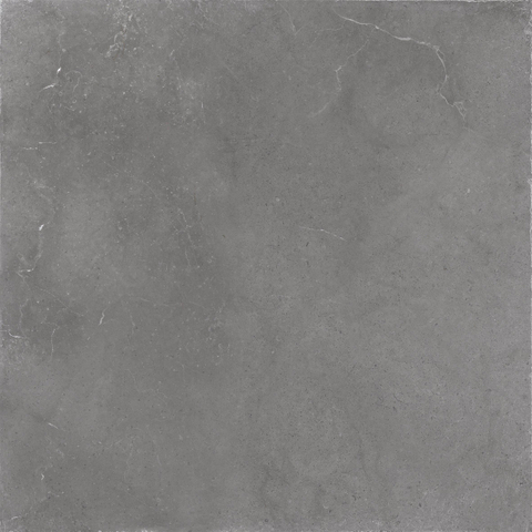ÉCHANTILLON Terravito Cozino Carrelage de sol et de mur - 60x60cm - rectifié - gris foncé mat SW1130972