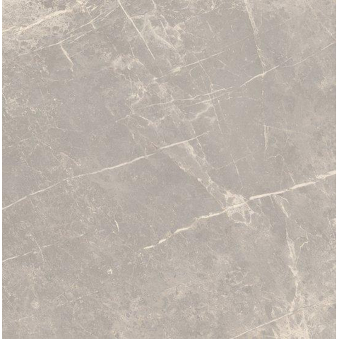 SAMPLE Ceralto Statuva Marble Vloertegel - 60x60cm - 9.0mm - gerectificeerd - Grey dolomia SW1474534